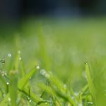 夏休みの宿題　自由研究編