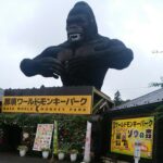 那須ワールドモンキーパークは雨の日のおすすめ穴場スポット